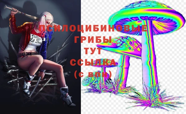 ешки Магадан
