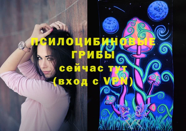 ешки Магадан