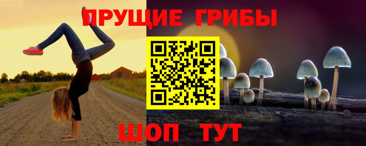 Пятигорск  Псилоцибиновые грибы MAGIC MUSHROOMS  Вход с VPN 