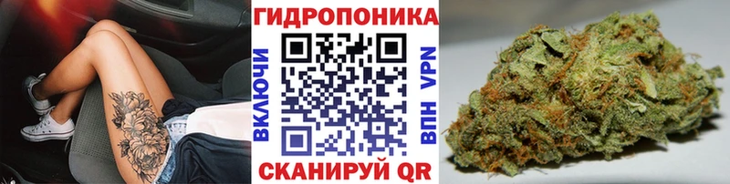 МАРИХУАНА план  Пятигорск 